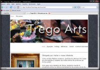 Trego Arts